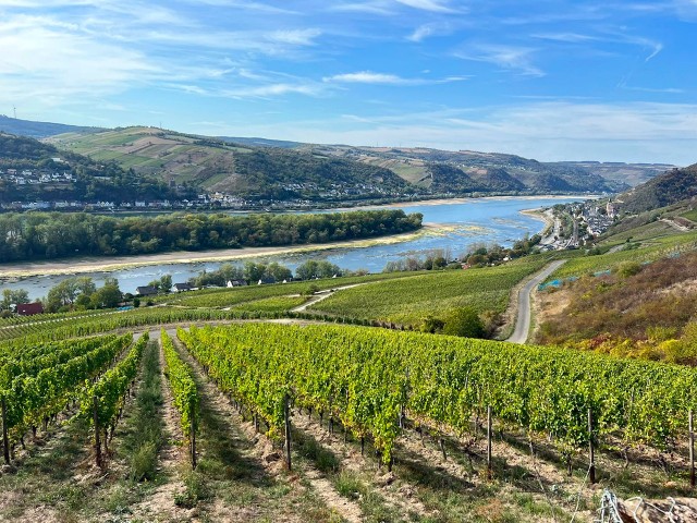 Kulinarische Weinwanderung mit orientalischer Festtafel