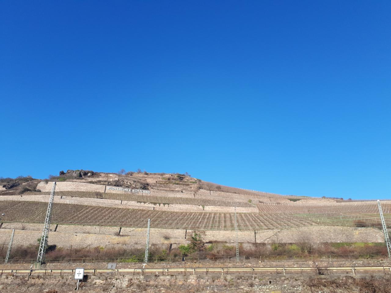 Rüdesheimer Berg Rottland