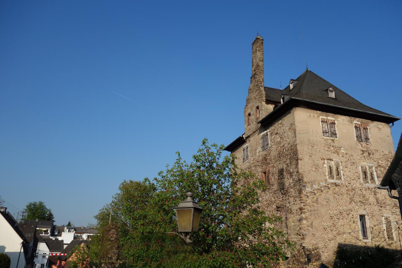 Die Burg in Hattenheim