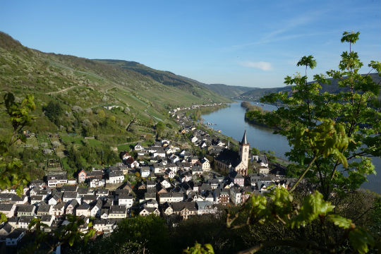 Blick über Lorch auf den Rhein