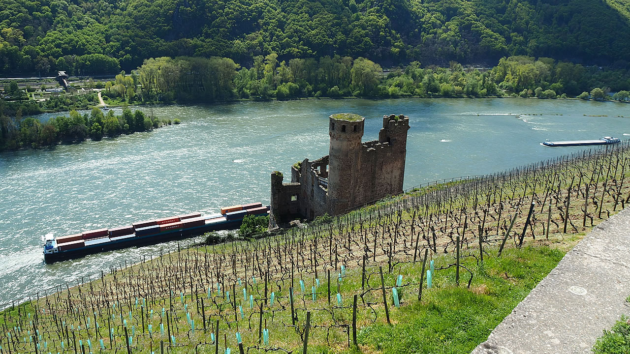 Burg Ehrenfels