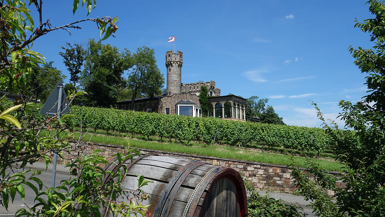 Burg Schwarzenstein in Johannisberg