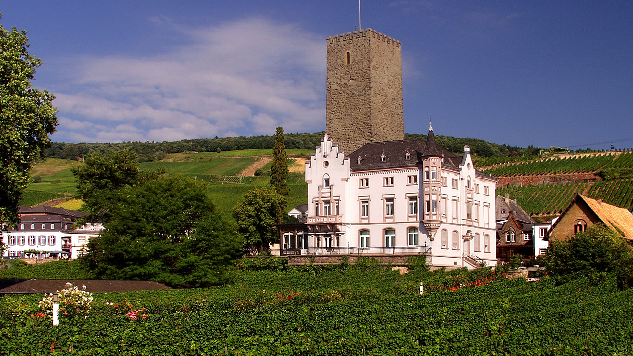 Weinkellerei Carl Jung GmbH mit Boosenburg in Rüdesheim am Rhein