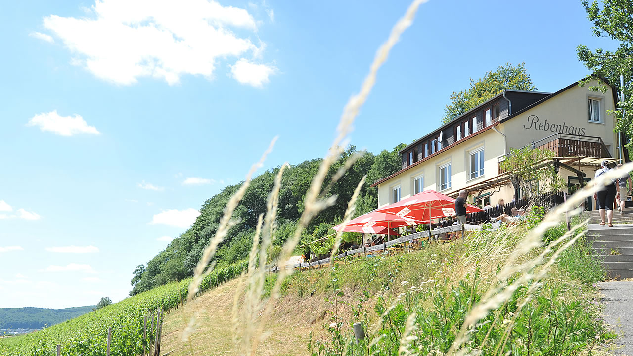 Das Rebenhaus in der Nähe der Seilbahnstation /  Niederwalddenkmal