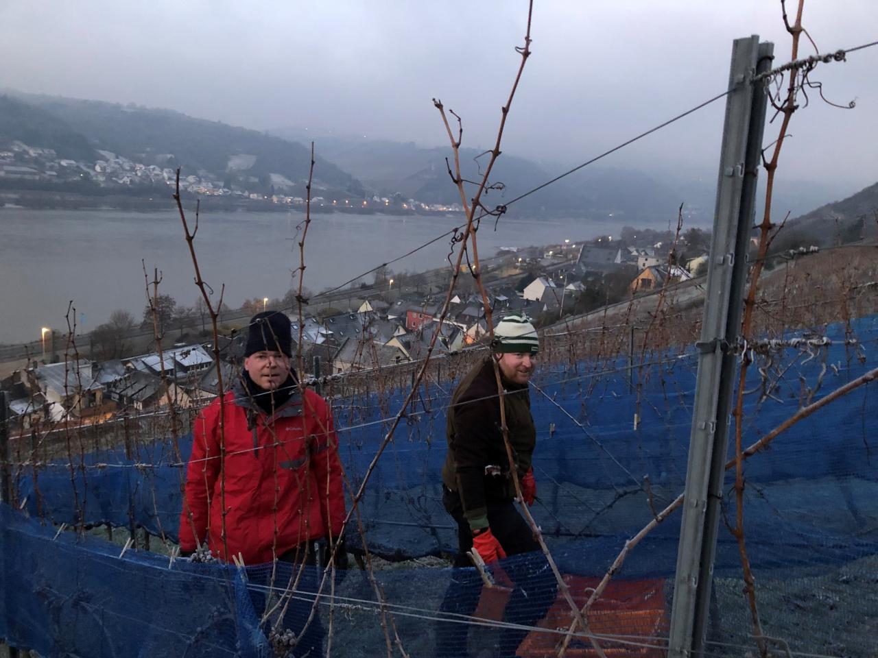 Jochen Neher (links) mit fleisigem Helfer während der Eisweinlese