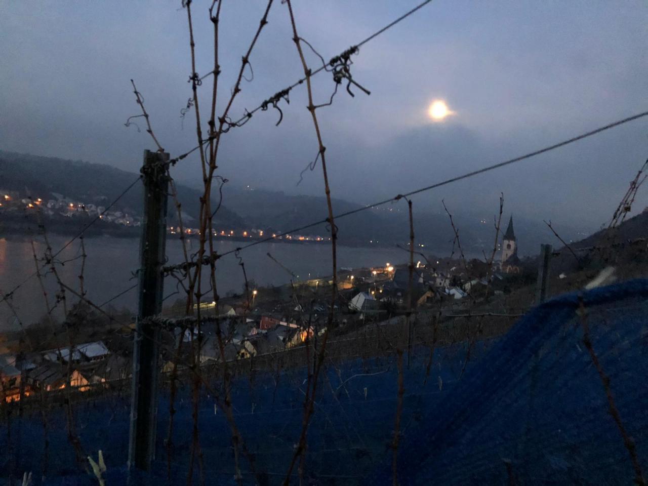 Vollmond über der Kirche St. Martin während der Eisweinlese