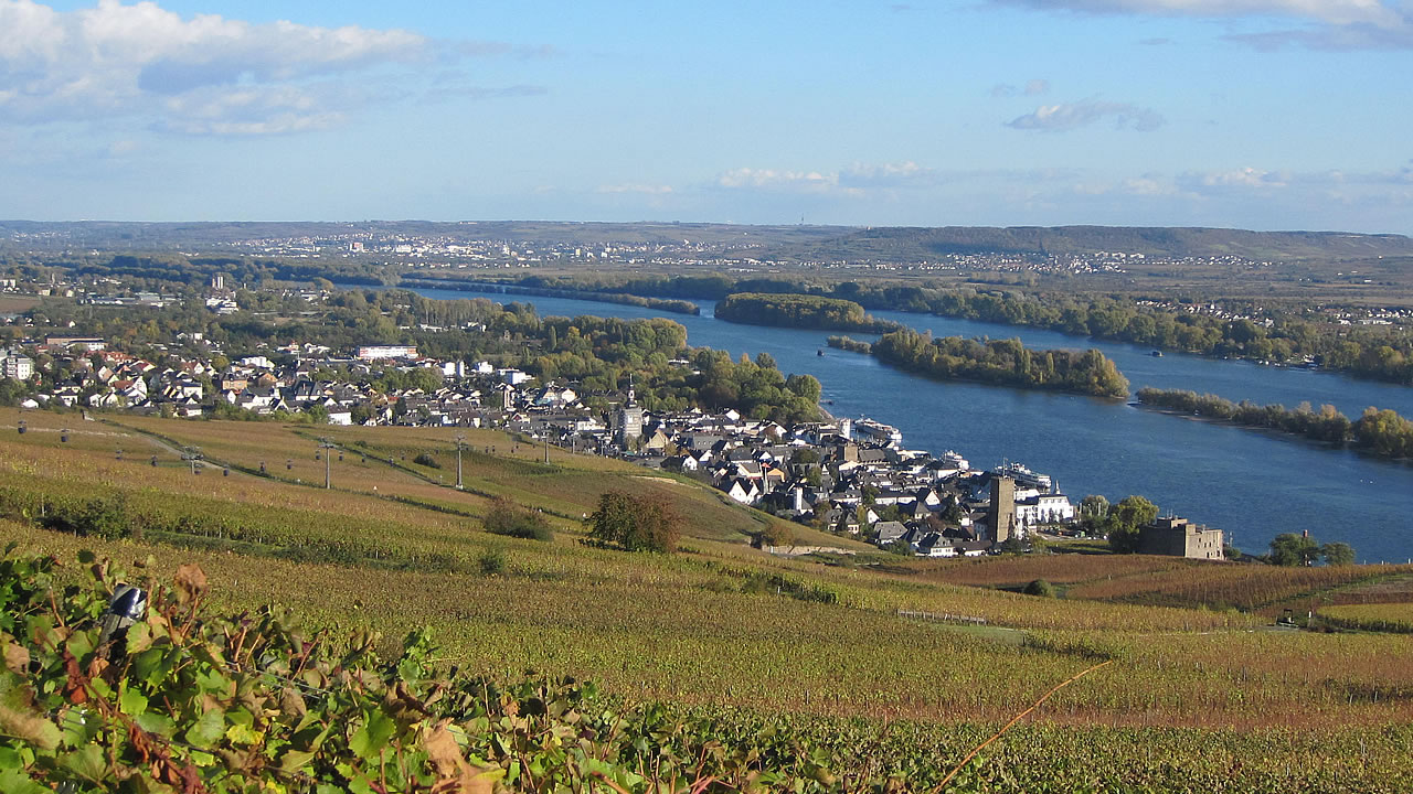 Rüdesheim am Rhein