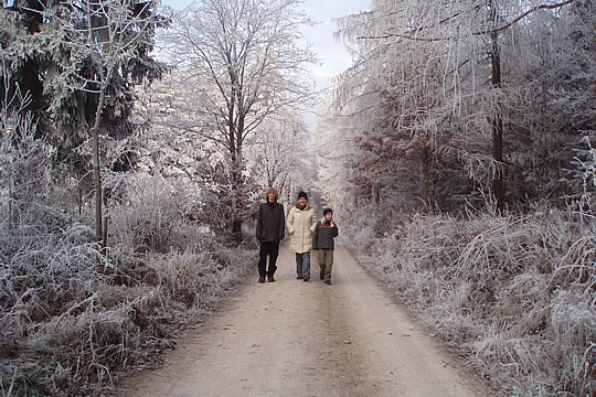 auf dem Rheinhöhenweg im Winter