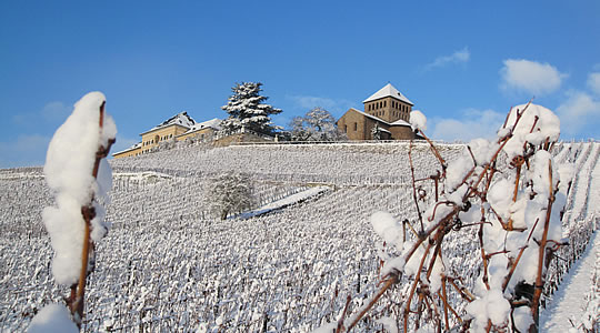 Blick auf das verschneite Schloss Johannisberg