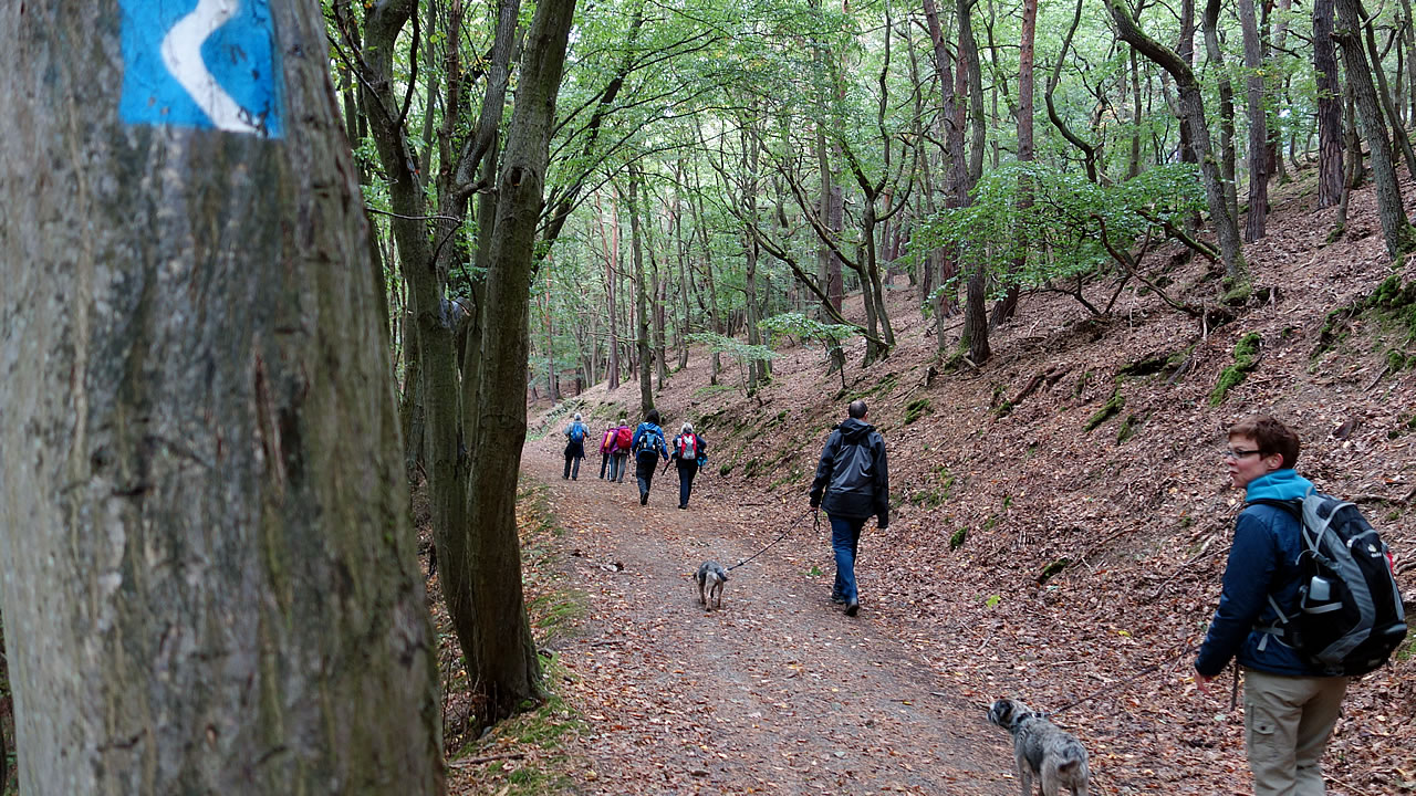 Wanderer mit Hund auf dem bekannten Rheinsteig