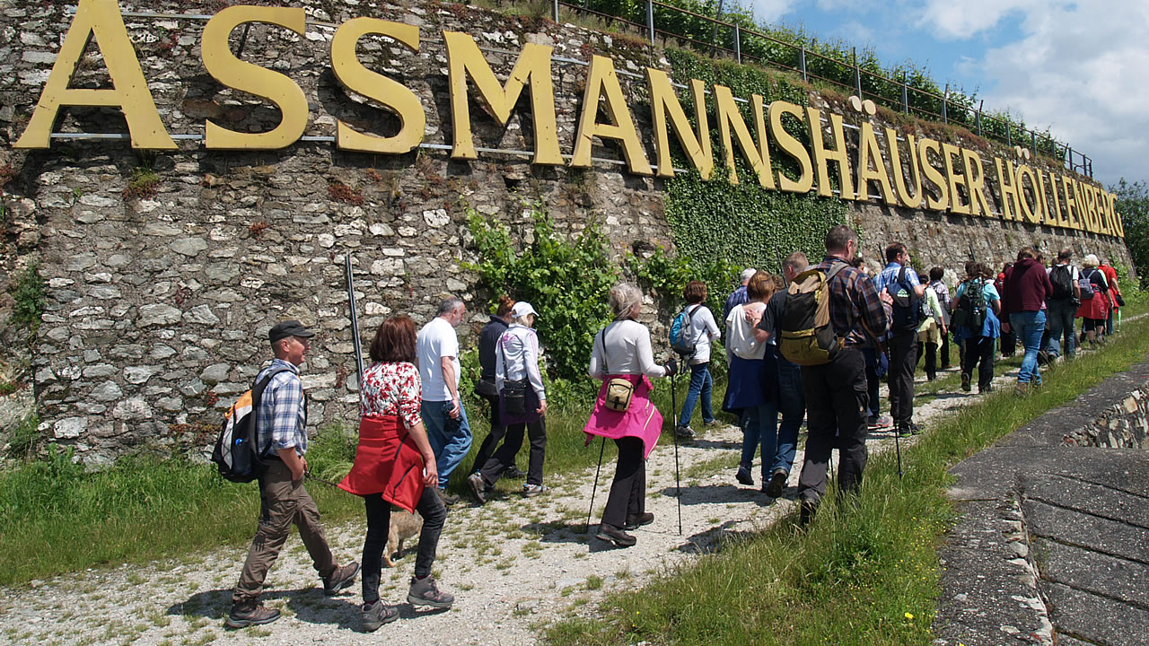 Vorbei am Assmannshäuser Höllenberg