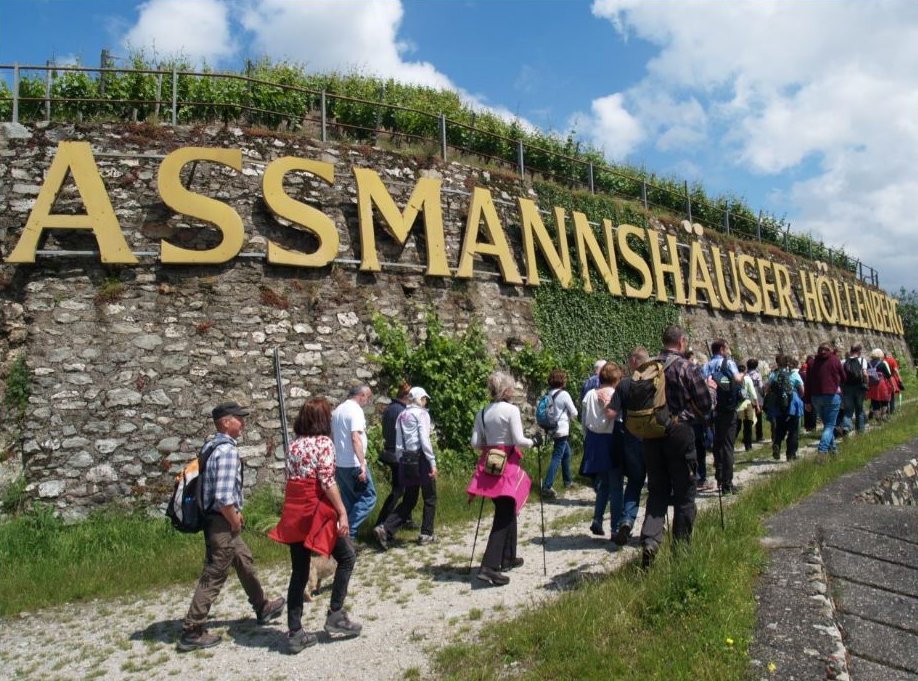 Wanderer am Assmannshäuser Höllenberg