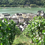 Blick von oben auf Assmannshausen am Rhein