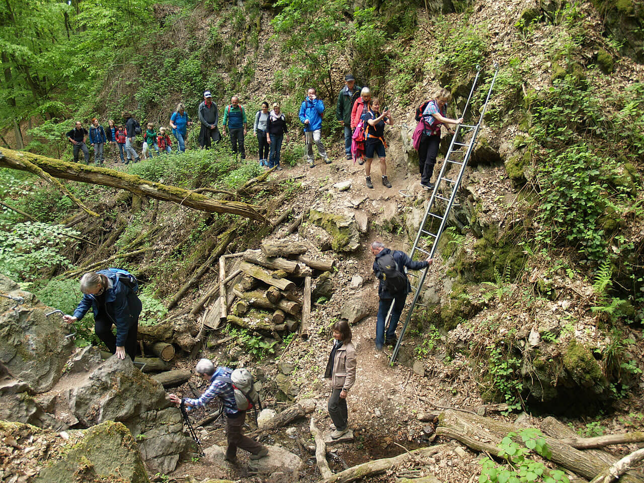 In der Kreuzbachklamm geben Leitern, Stahlseile und Trittstifte Sicherheit.