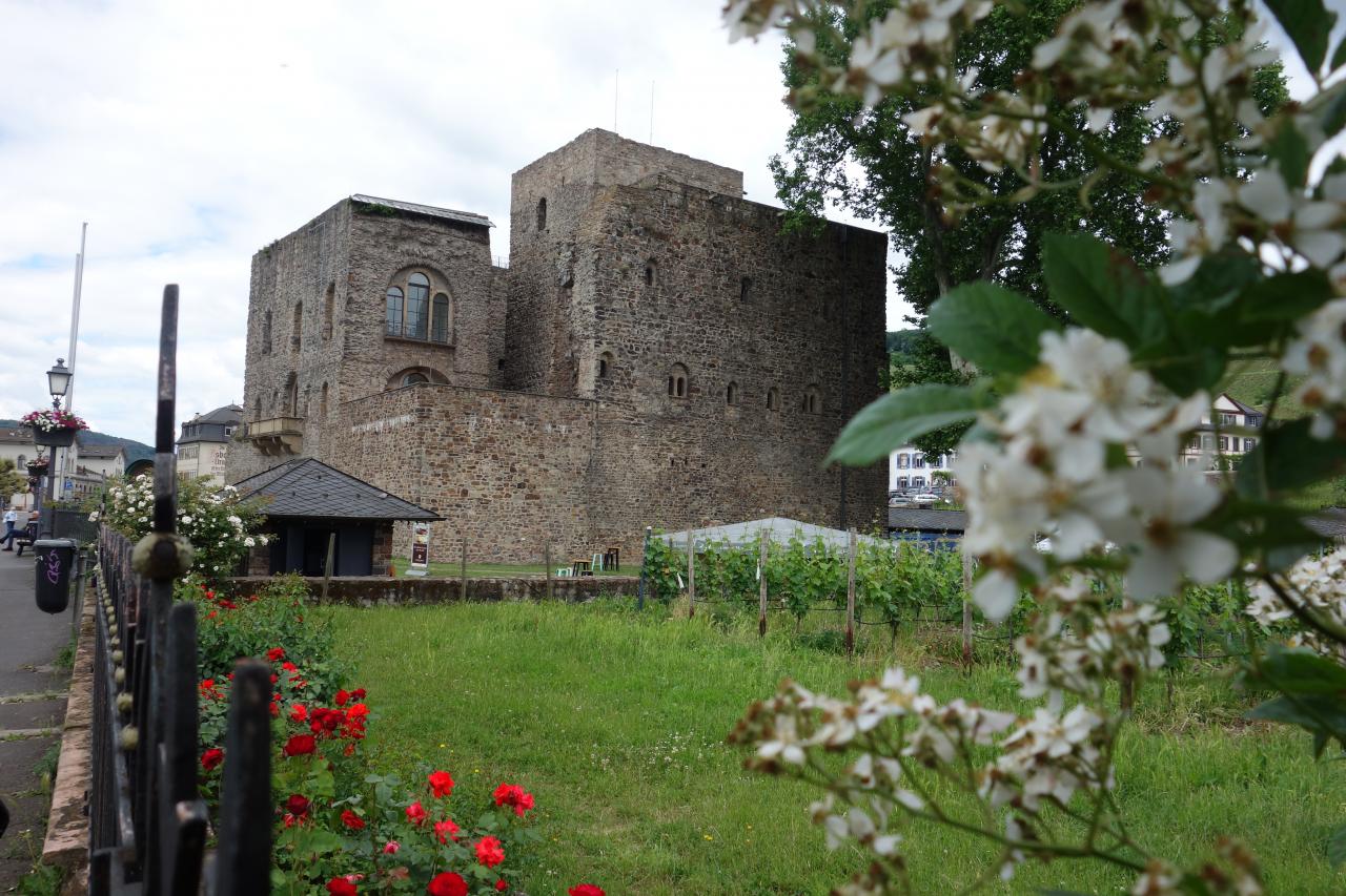 Die Brömserburg in Rüdesheim am Rhein