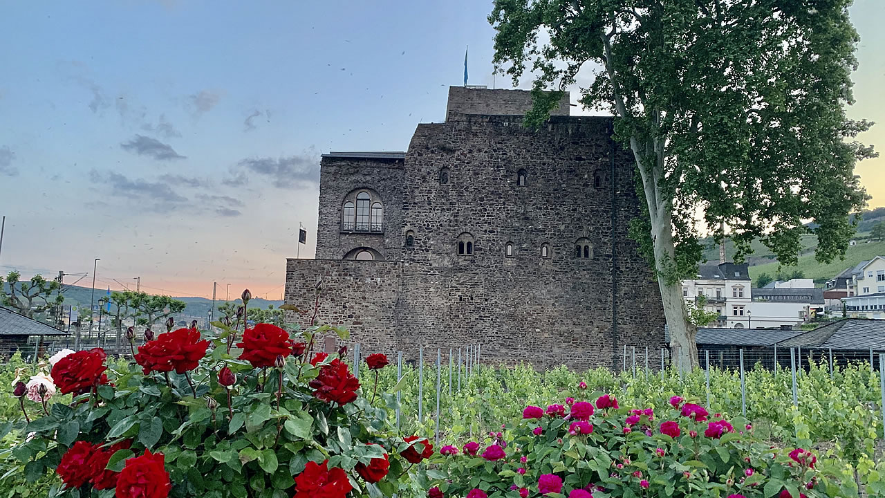 Die Brömserburg an der Rheinstraße in Rüdesheim