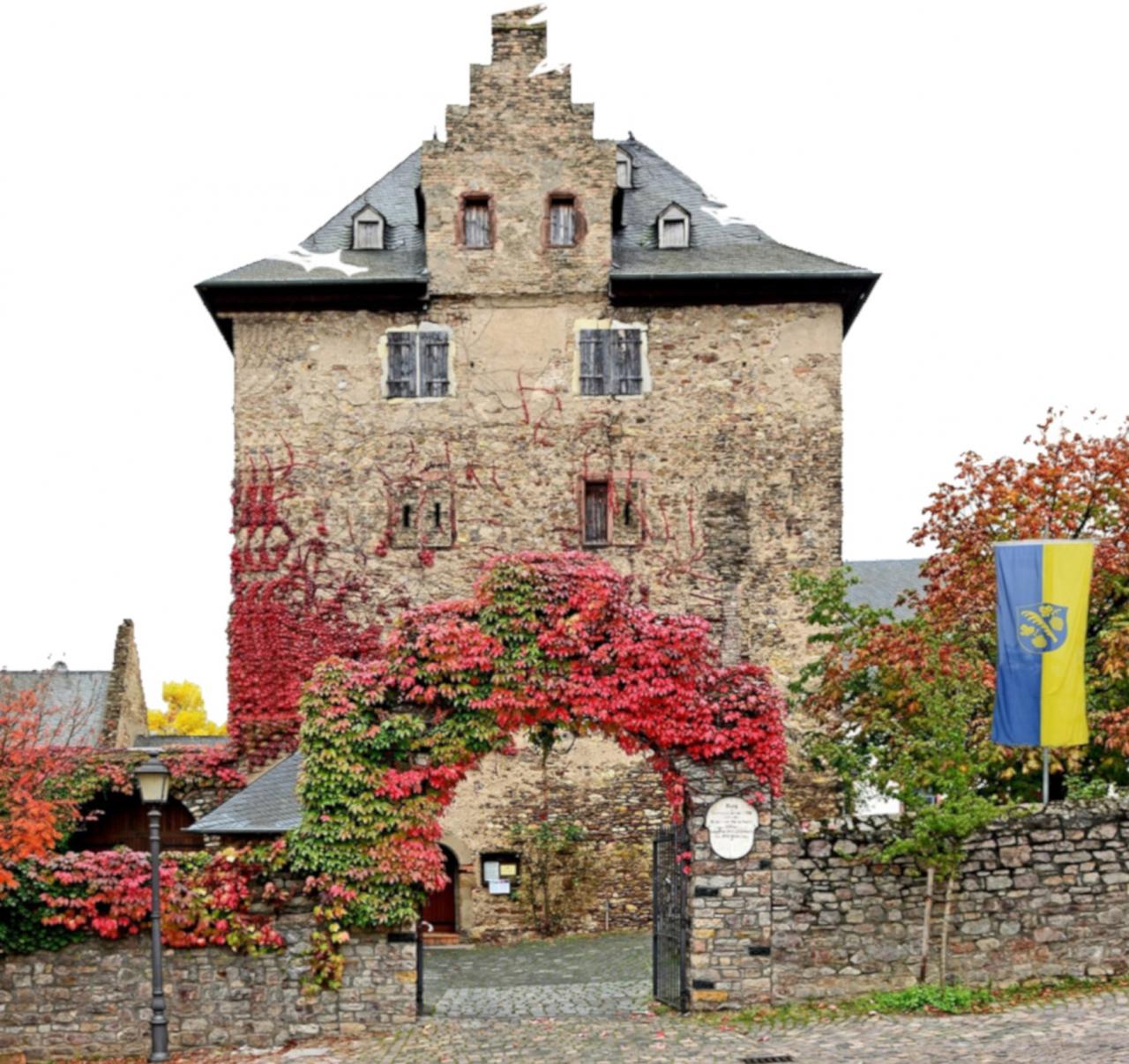 Straußwirtschaft in der Hattenheimer Burg - Rheingau