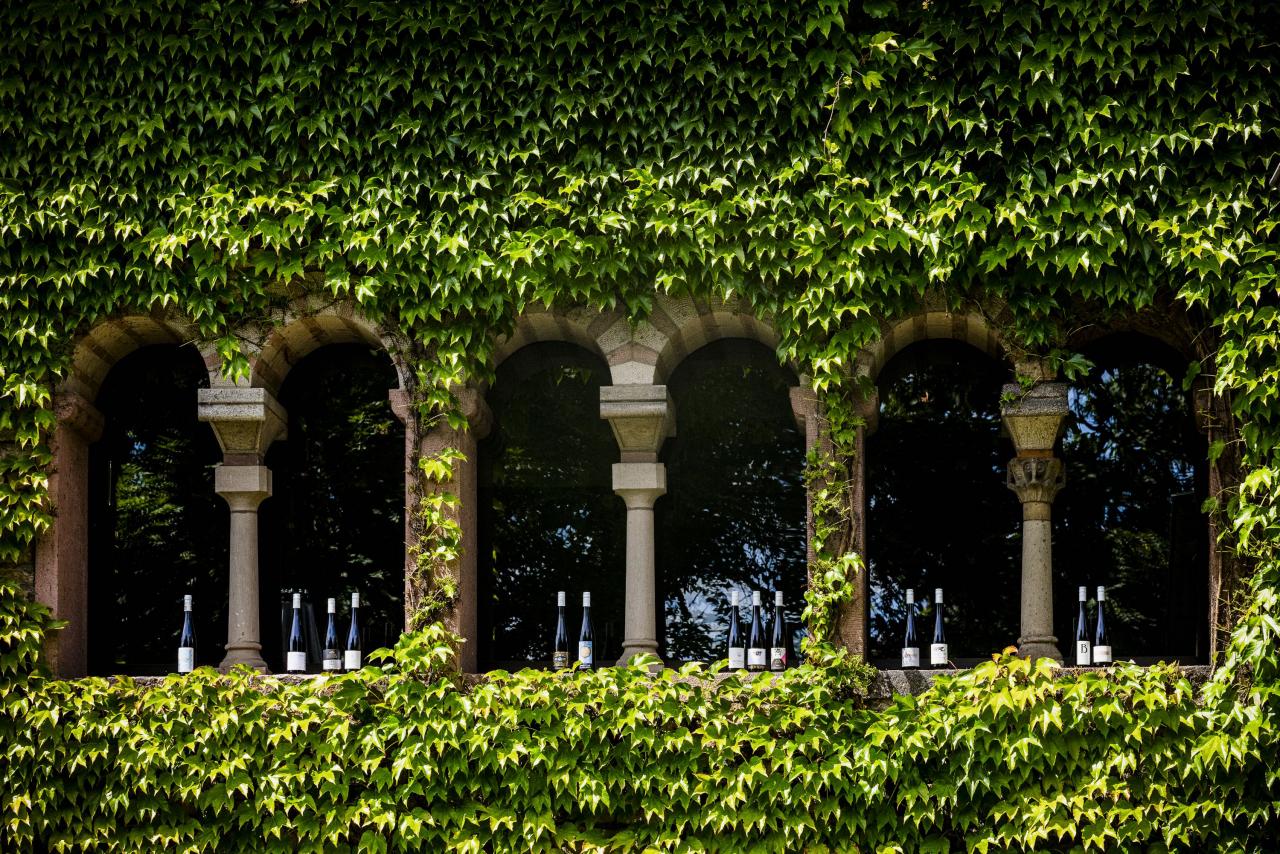 Die aktuelle Rheingau Charta Riesling Kollektion in den Frontfensterbögen des Grauen Hauses im Rheingau