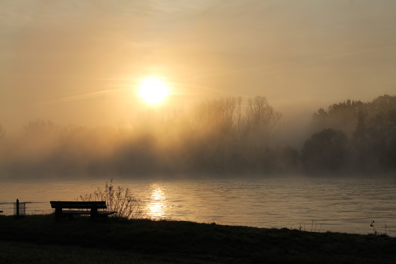Auf den Rhein schauen oder von ihm aufs Ufer? Der Unterschied kann bemerkenswerte Perspektivwechsel ermöglichen