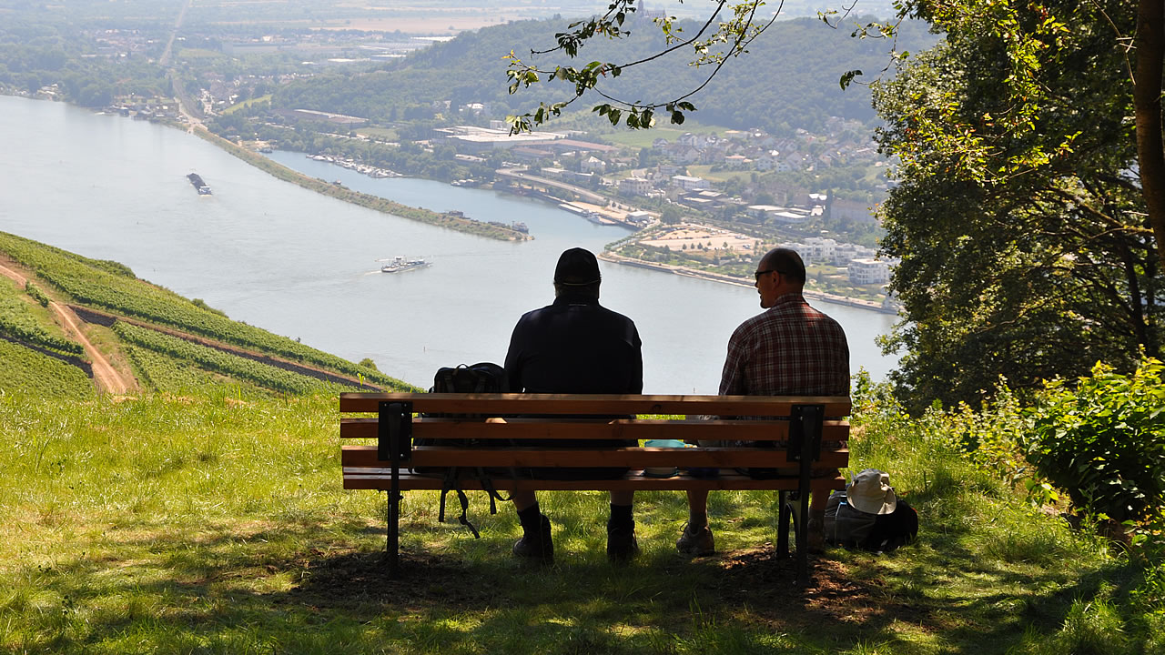 Der herrliche Blick vom Drachenstein ins Rheintal