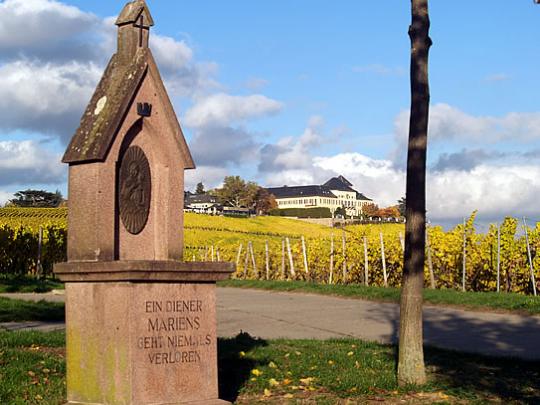 Am Kläuserweg mit Schlossblick