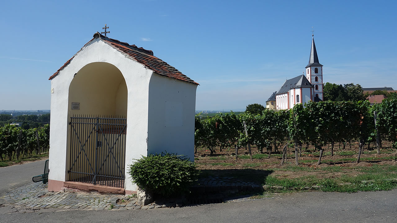 Eine Kapelle in den Weinbergen bei Hochheim am Main