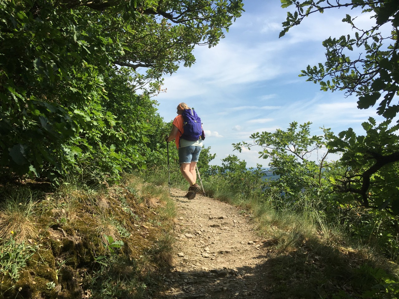 Wanderer auf dem Rheinsteig bei Kestert