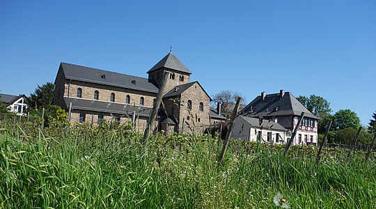 Basilika in Mittelheim