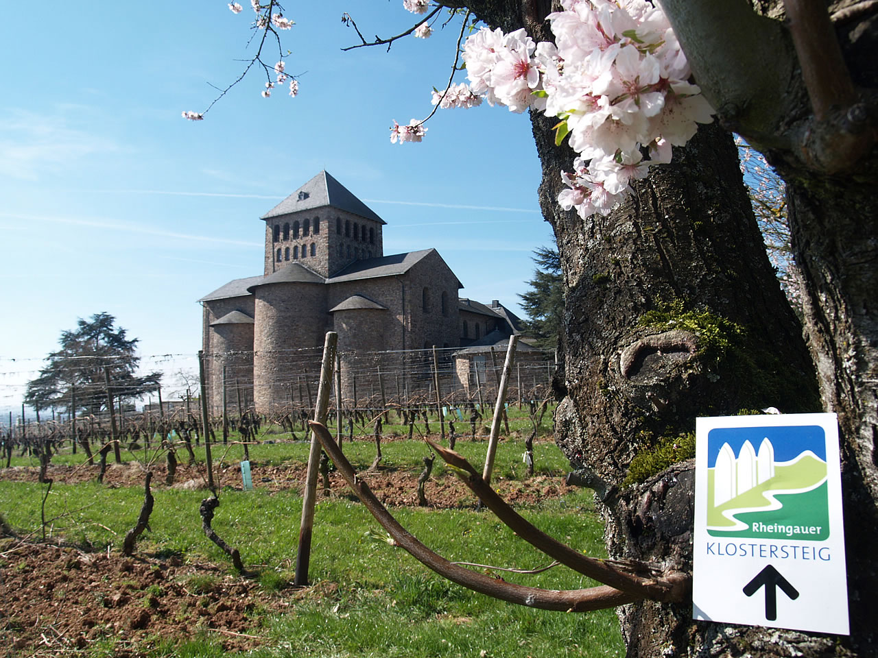 Die Basilika direkt neben Schloss Johannisberg