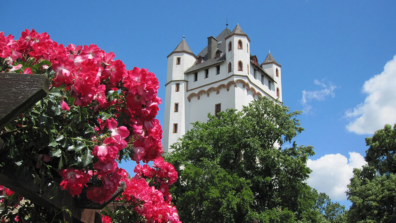 Die Kurfürstliche Burg in Eltville befindet sich direkt am Rheinufer