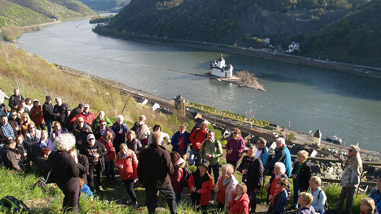 Blick auf die Pfalz