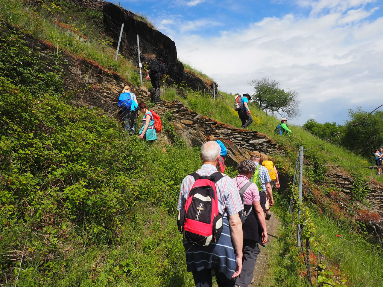 Der Oelsbergsteig bietet alpines Abenteuer für Anfänger