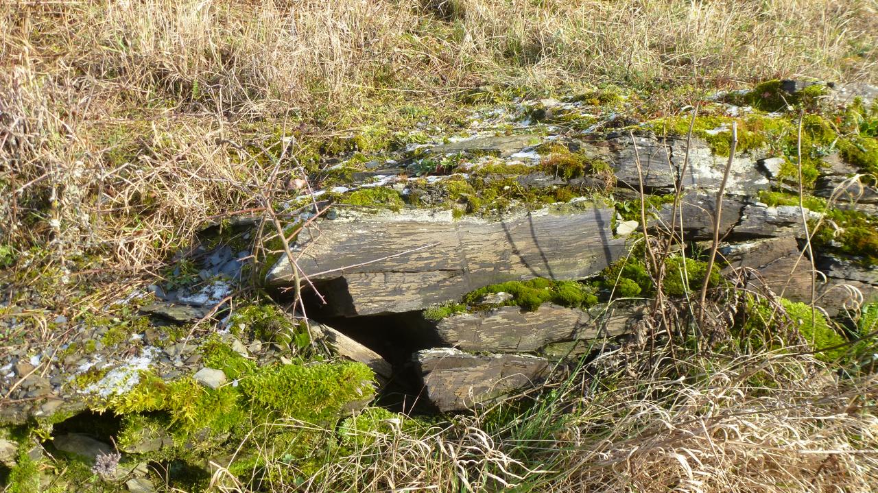 Schiefermauer - Foto E. Kunz