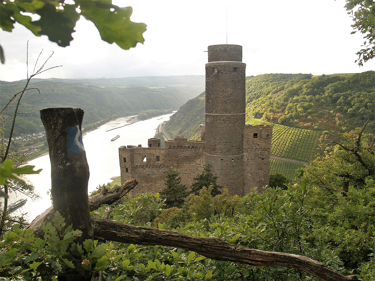 Der Blick auf Burg Maus ist prächtig