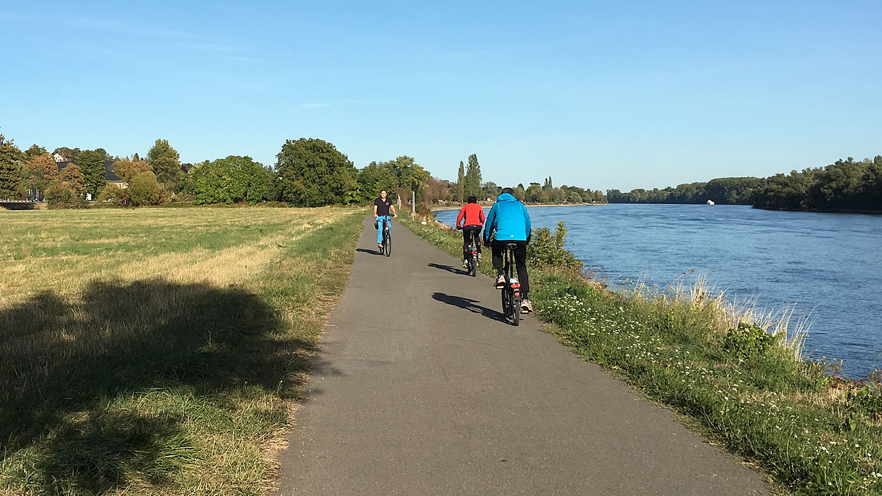 Fahrradfahrer am Leinpfad bei Hattenheim