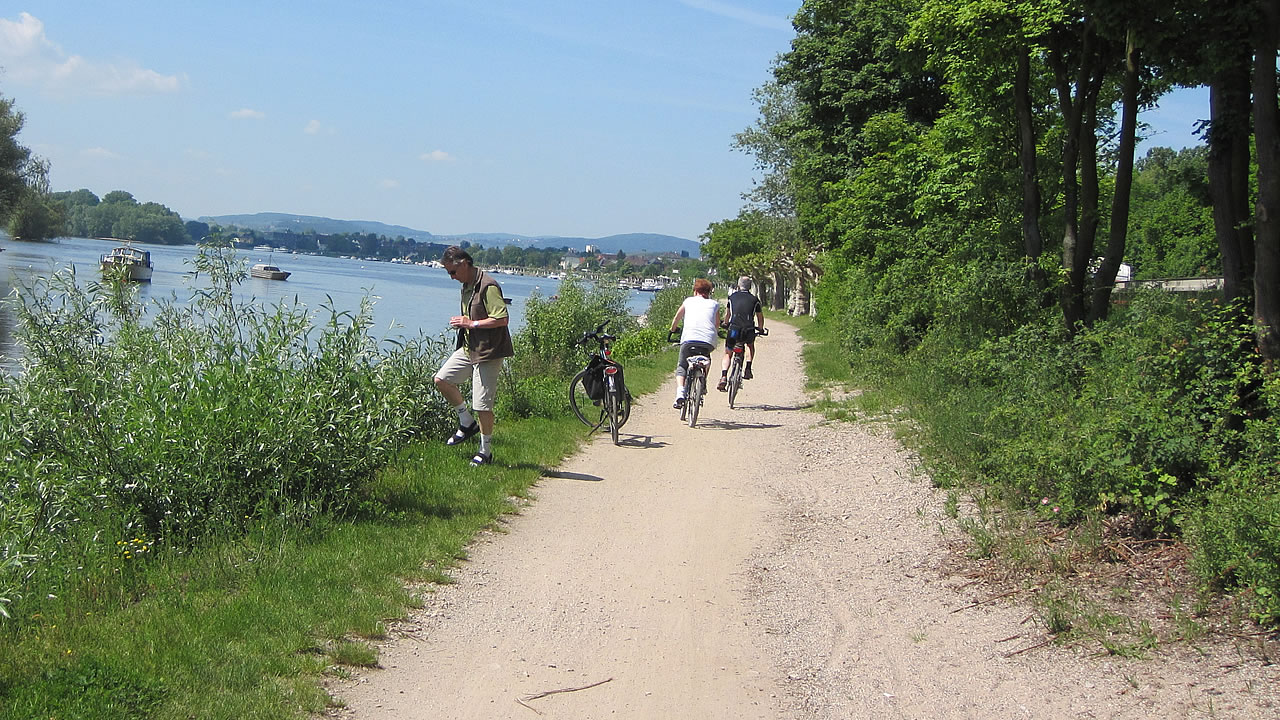 Radfahrer am Leinpfad