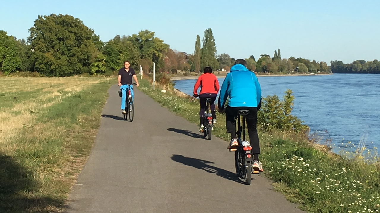 Radfahrer am Leinpfad