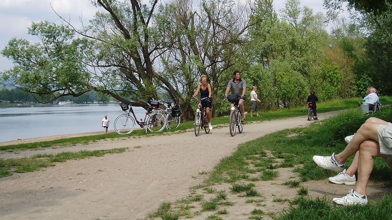 Radfahrer am Rhein