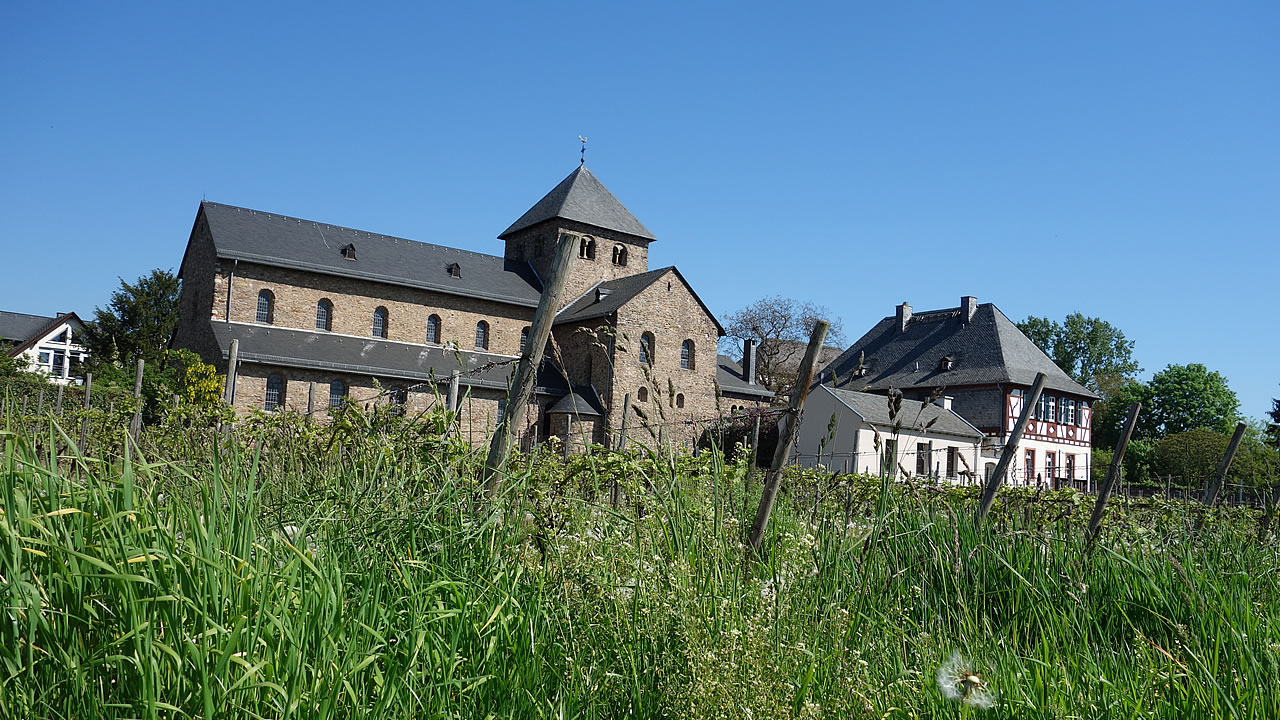 Blick auf die Basilika in Mittelheim