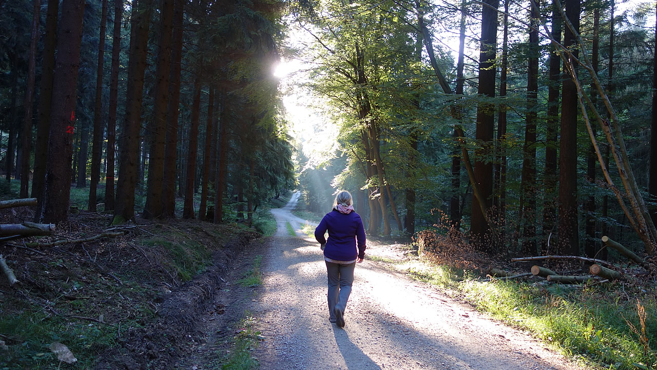 Wanderer auf dem Rheinhöhenweg, in der Nähe ist die Kalte Herberge