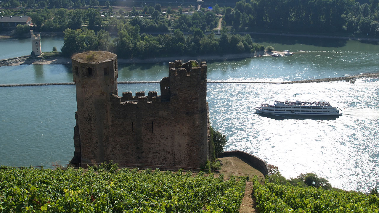 Burg Ehrenfels zwischen Rüdesheim und Assmannshausen