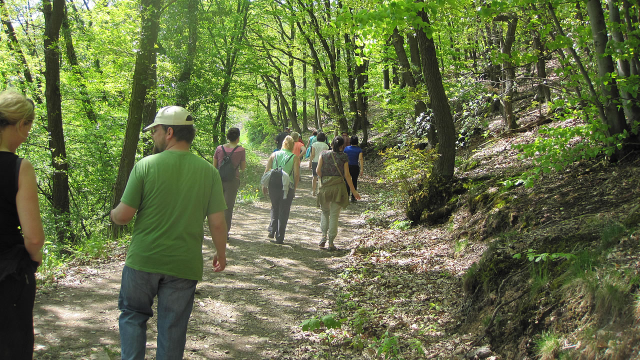 In der Gruppe macht das Wandern Spaß