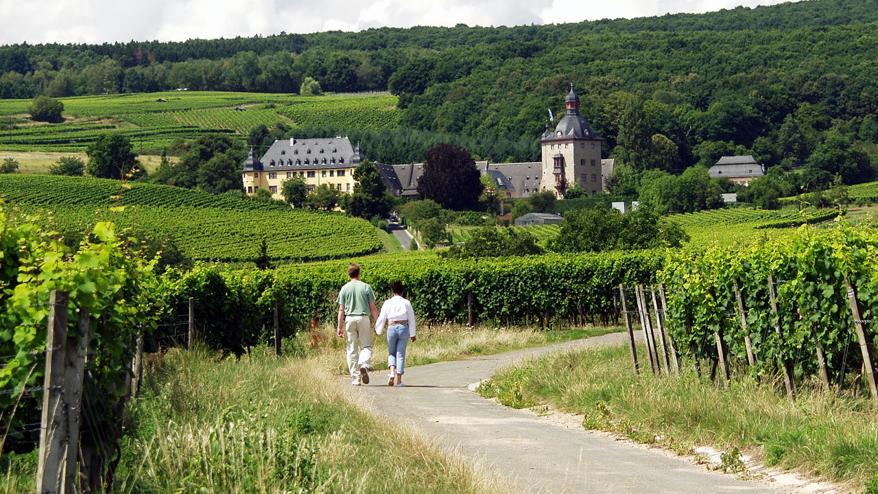 Schloss Vollrads bei Winkel