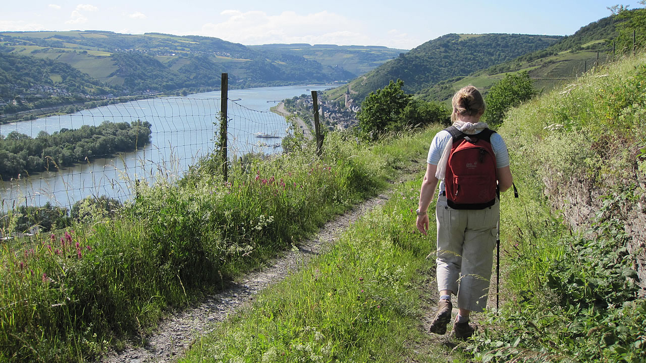 Wanderweg Richtung Lorch am Rhein