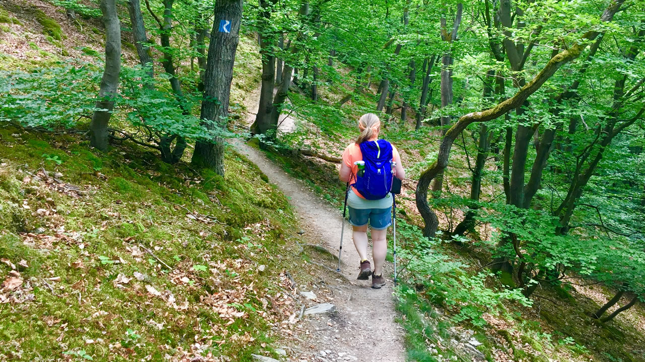 Auf dem Rheinsteig bei Kestert