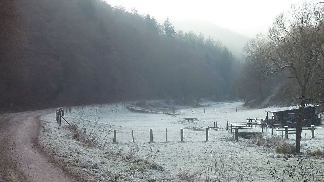 Winterimpressionen aus dem Wispertaunus