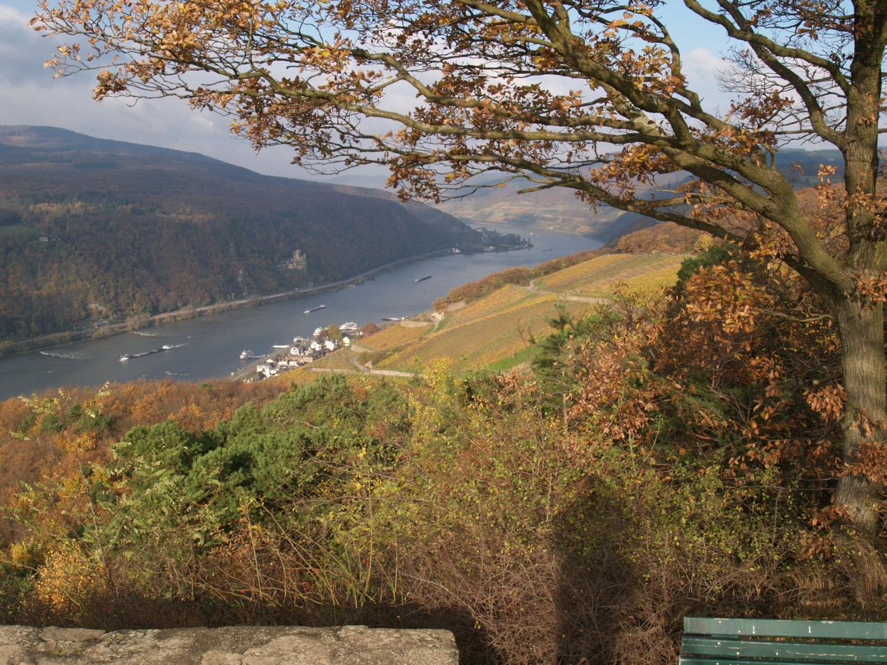 Blick vom Niederwald ins Rheintal