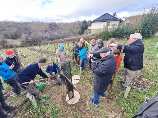 bei der Baum-Pflanzung am 3.2.2024