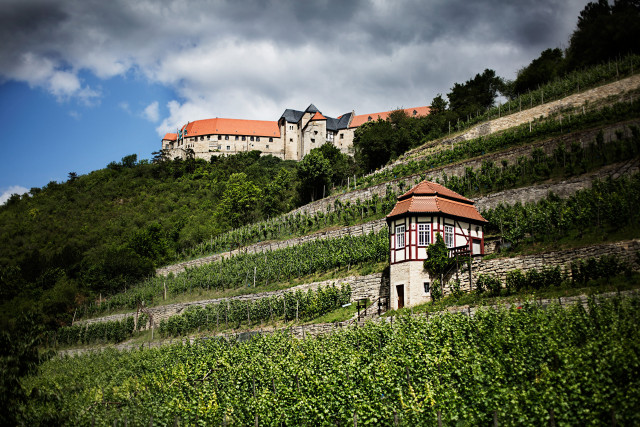 Herzoglicher Weinberg mit Schloss Neuenburg (c) Deutsches Weininstitut