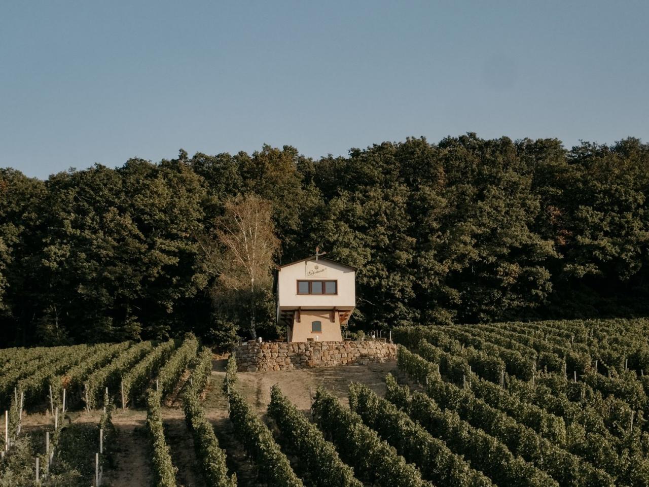 Weinbergshaus by Diefenhardt im Sommer zwischen Reben.